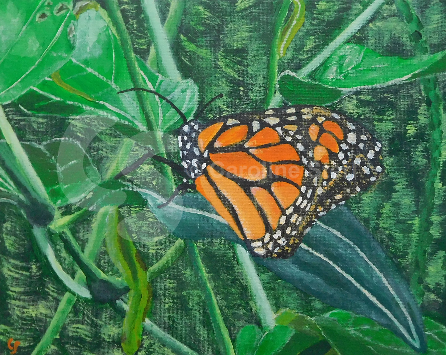 Painting: Monarch Butterfly